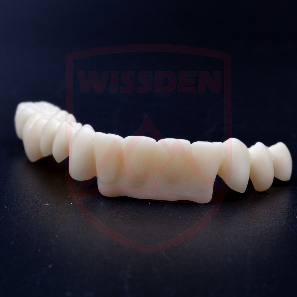 HT white zirconia 71mm system