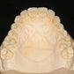 ST-C Pre-shaded zirconia 71mm system